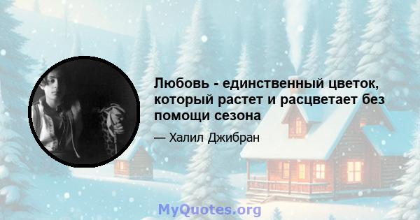 Любовь - единственный цветок, который растет и расцветает без помощи сезона