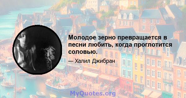 Молодое зерно превращается в песни любить, когда проглотится соловью.