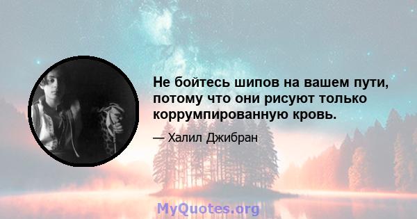 Не бойтесь шипов на вашем пути, потому что они рисуют только коррумпированную кровь.