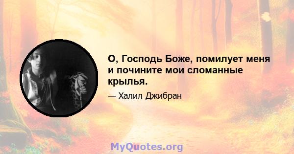 О, Господь Боже, помилует меня и почините мои сломанные крылья.