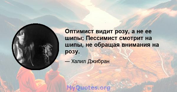 Оптимист видит розу, а не ее шипы; Пессимист смотрит на шипы, не обращая внимания на розу.