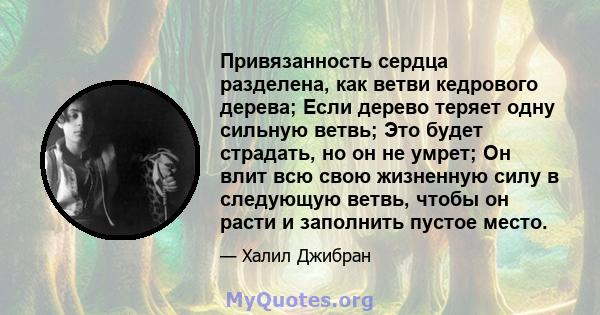 Привязанность сердца разделена, как ветви кедрового дерева; Если дерево теряет одну сильную ветвь; Это будет страдать, но он не умрет; Он влит всю свою жизненную силу в следующую ветвь, чтобы он расти и заполнить пустое 