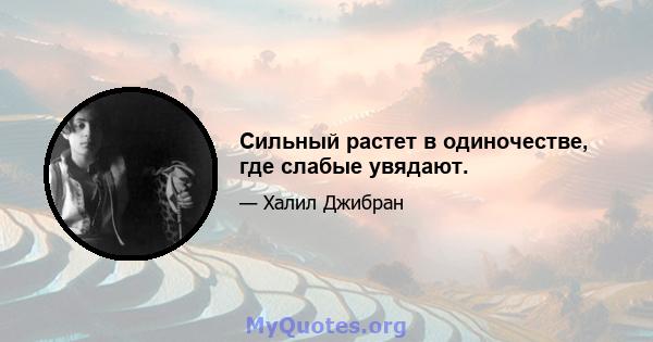 Сильный растет в одиночестве, где слабые увядают.