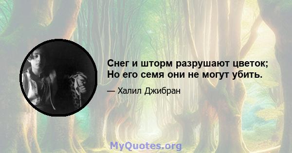 Снег и шторм разрушают цветок; Но его семя они не могут убить.