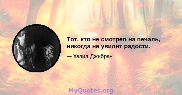 Тот, кто не смотрел на печаль, никогда не увидит радости.