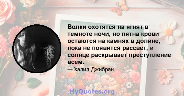 Волки охотятся на ягнят в темноте ночи, но пятна крови остаются на камнях в долине, пока не появится рассвет, и солнце раскрывает преступление всем.