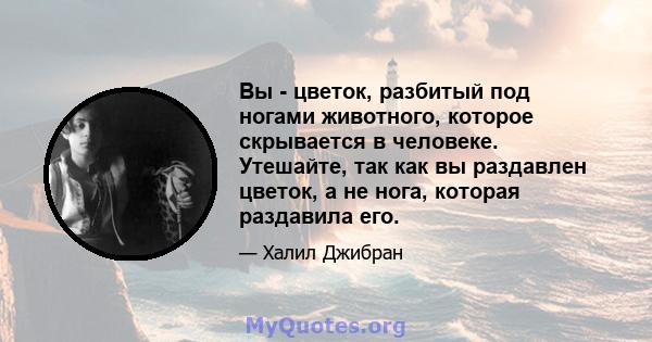 Вы - цветок, разбитый под ногами животного, которое скрывается в человеке. Утешайте, так как вы раздавлен цветок, а не нога, которая раздавила его.