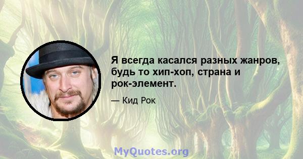 Я всегда касался разных жанров, будь то хип-хоп, страна и рок-элемент.