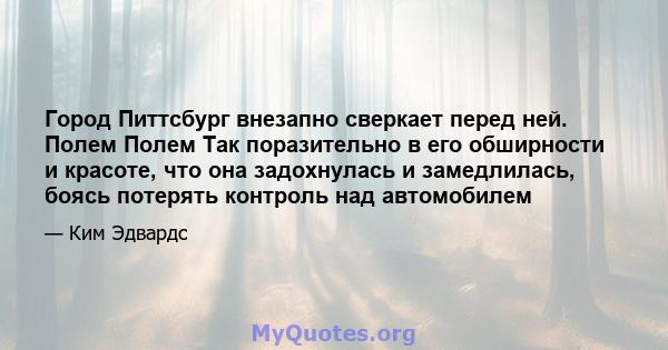 Город Питтсбург внезапно сверкает перед ней. Полем Полем Так поразительно в его обширности и красоте, что она задохнулась и замедлилась, боясь потерять контроль над автомобилем