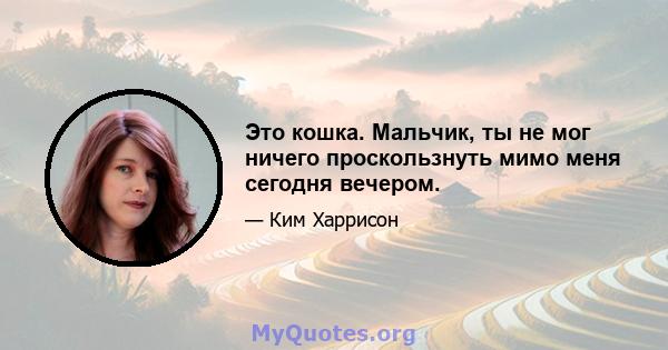 Это кошка. Мальчик, ты не мог ничего проскользнуть мимо меня сегодня вечером.