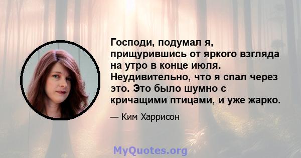 Господи, подумал я, прищурившись от яркого взгляда на утро в конце июля. Неудивительно, что я спал через это. Это было шумно с кричащими птицами, и уже жарко.