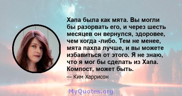 Хапа была как мята. Вы могли бы разорвать его, и через шесть месяцев он вернулся, здоровее, чем когда -либо. Тем не менее, мята пахла лучше, и вы можете избавиться от этого. Я не знаю, что я мог бы сделать из Хапа.