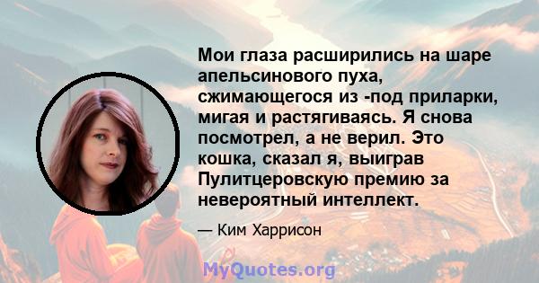 Мои глаза расширились на шаре апельсинового пуха, сжимающегося из -под приларки, мигая и растягиваясь. Я снова посмотрел, а не верил. Это кошка, сказал я, выиграв Пулитцеровскую премию за невероятный интеллект.