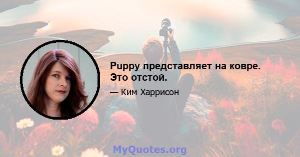 Puppy представляет на ковре. Это отстой.