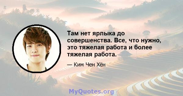 Там нет ярлыка до совершенства. Все, что нужно, это тяжелая работа и более тяжелая работа.