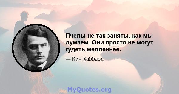 Пчелы не так заняты, как мы думаем. Они просто не могут гудеть медленнее.