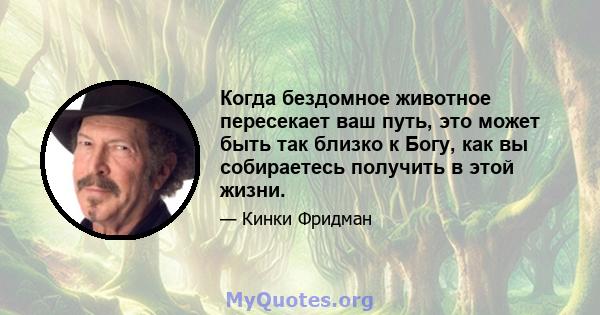 Когда бездомное животное пересекает ваш путь, это может быть так близко к Богу, как вы собираетесь получить в этой жизни.