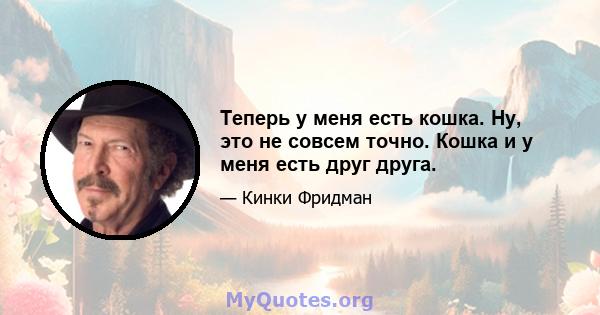 Теперь у меня есть кошка. Ну, это не совсем точно. Кошка и у меня есть друг друга.