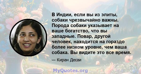 В Индии, если вы из элиты, собаки чрезвычайно важны. Порода собаки указывает на ваше богатство, что вы западные. Повар, другой человек, находится на гораздо более низком уровне, чем ваша собака. Вы видите это все время.