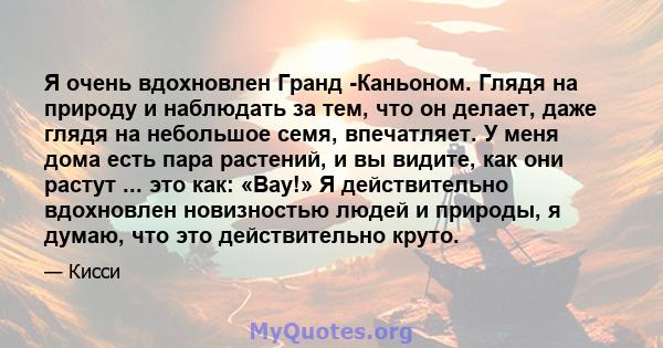 Я очень вдохновлен Гранд -Каньоном. Глядя на природу и наблюдать за тем, что он делает, даже глядя на небольшое семя, впечатляет. У меня дома есть пара растений, и вы видите, как они растут ... это как: «Вау!» Я