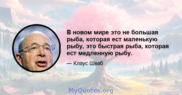 В новом мире это не большая рыба, которая ест маленькую рыбу, это быстрая рыба, которая ест медленную рыбу.