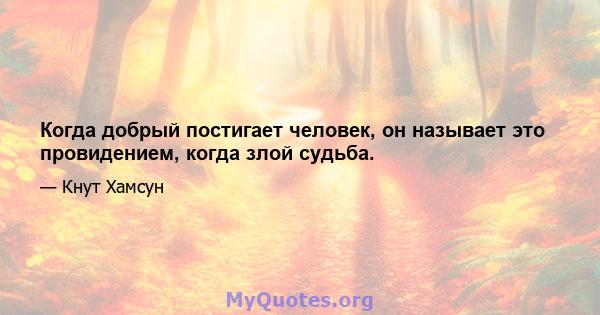 Когда добрый постигает человек, он называет это провидением, когда злой судьба.