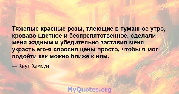 Тяжелые красные розы, тлеющие в туманное утро, кроваво-цветное и беспрепятственное, сделали меня жадным и убедительно заставил меня украсть его-я спросил цены просто, чтобы я мог подойти как можно ближе к ним.