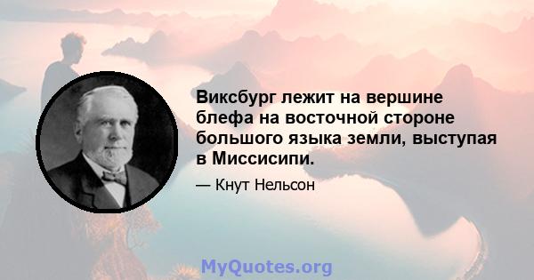 Виксбург лежит на вершине блефа на восточной стороне большого языка земли, выступая в Миссисипи.