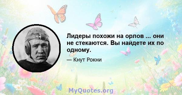 Лидеры похожи на орлов ... они не стекаются. Вы найдете их по одному.