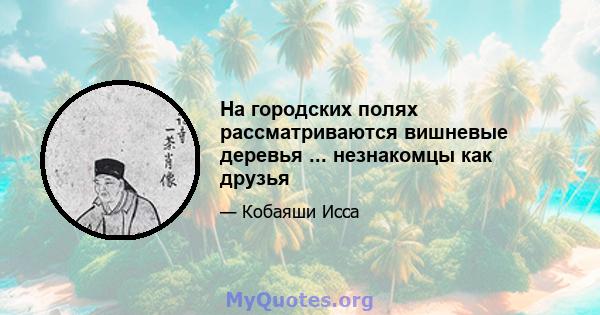 На городских полях рассматриваются вишневые деревья ... незнакомцы как друзья