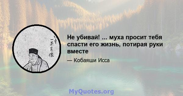 Не убивай! ... муха просит тебя спасти его жизнь, потирая руки вместе