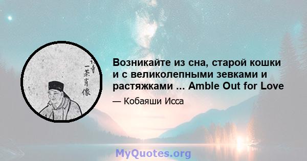 Возникайте из сна, старой кошки и с великолепными зевками и растяжками ... Amble Out for Love