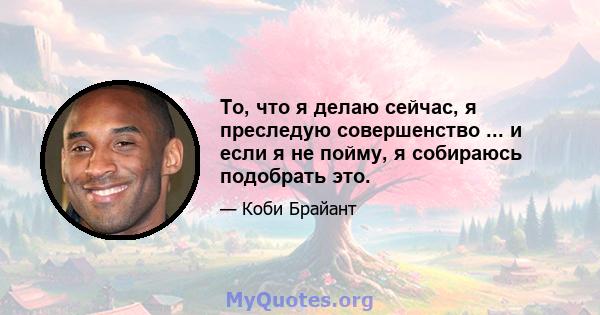 То, что я делаю сейчас, я преследую совершенство ... и если я не пойму, я собираюсь подобрать это.