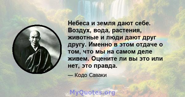 Небеса и земля дают себе. Воздух, вода, растения, животные и люди дают друг другу. Именно в этом отдаче о том, что мы на самом деле живем. Оцените ли вы это или нет, это правда.