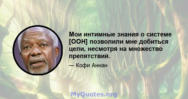 Мои интимные знания о системе [ООН] позволили мне добиться цели, несмотря на множество препятствий.