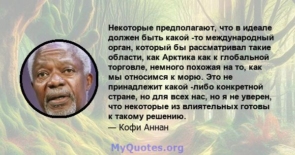 Некоторые предполагают, что в идеале должен быть какой -то международный орган, который бы рассматривал такие области, как Арктика как к глобальной торговле, немного похожая на то, как мы относимся к морю. Это не