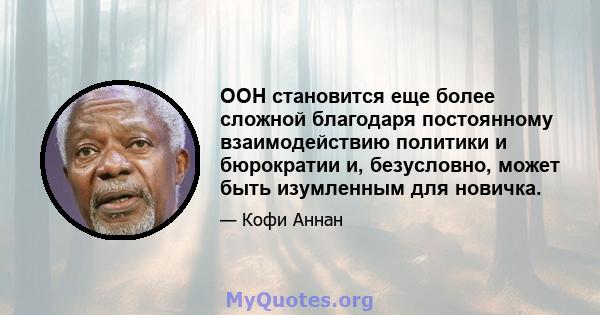 ООН становится еще более сложной благодаря постоянному взаимодействию политики и бюрократии и, безусловно, может быть изумленным для новичка.