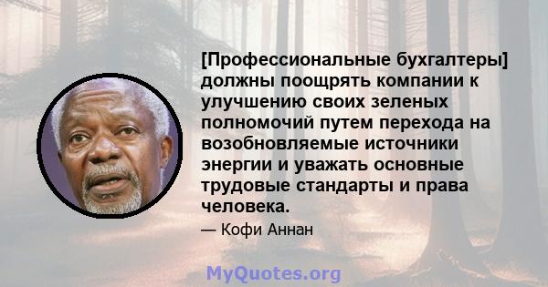 [Профессиональные бухгалтеры] должны поощрять компании к улучшению своих зеленых полномочий путем перехода на возобновляемые источники энергии и уважать основные трудовые стандарты и права человека.