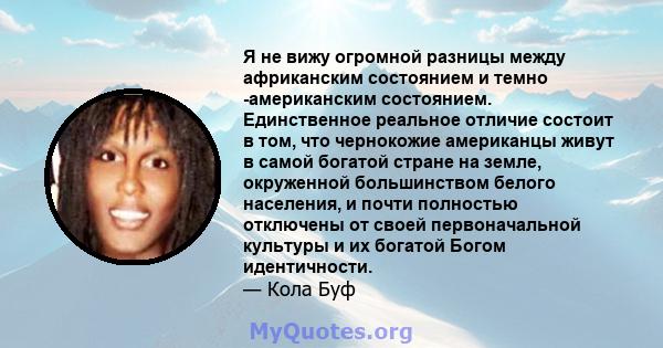 Я не вижу огромной разницы между африканским состоянием и темно -американским состоянием. Единственное реальное отличие состоит в том, что чернокожие американцы живут в самой богатой стране на земле, окруженной