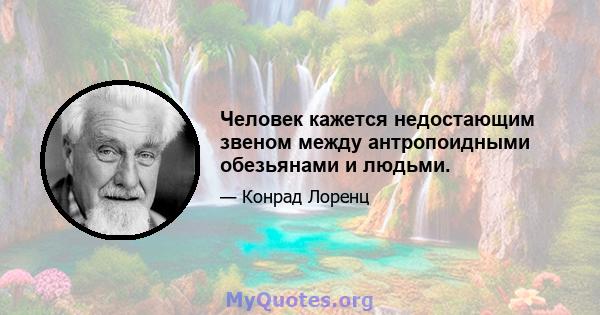 Человек кажется недостающим звеном между антропоидными обезьянами и людьми.