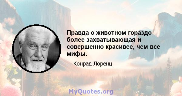 Правда о животном гораздо более захватывающая и совершенно красивее, чем все мифы.