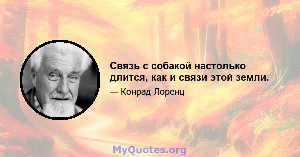 Связь с собакой настолько длится, как и связи этой земли.