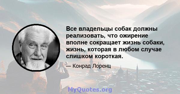 Все владельцы собак должны реализовать, что ожирение вполне сокращает жизнь собаки, жизнь, которая в любом случае слишком короткая.