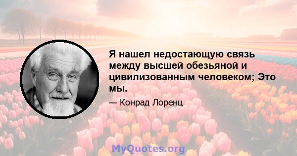 Я нашел недостающую связь между высшей обезьяной и цивилизованным человеком; Это мы.