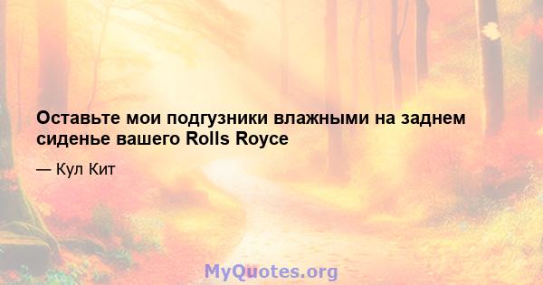 Оставьте мои подгузники влажными на заднем сиденье вашего Rolls Royce