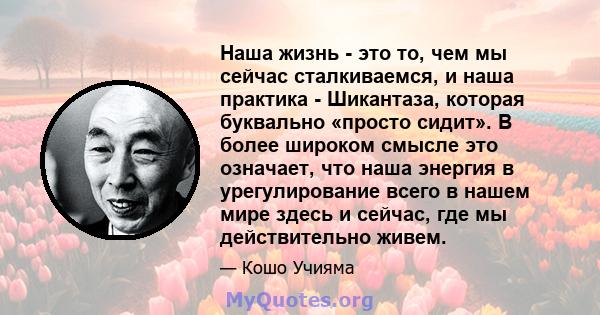 Наша жизнь - это то, чем мы сейчас сталкиваемся, и наша практика - Шикантаза, которая буквально «просто сидит». В более широком смысле это означает, что наша энергия в урегулирование всего в нашем мире здесь и сейчас,