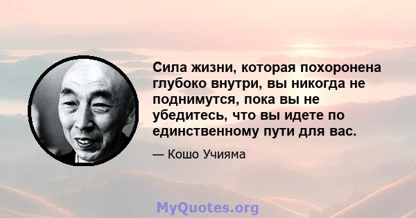 Сила жизни, которая похоронена глубоко внутри, вы никогда не поднимутся, пока вы не убедитесь, что вы идете по единственному пути для вас.