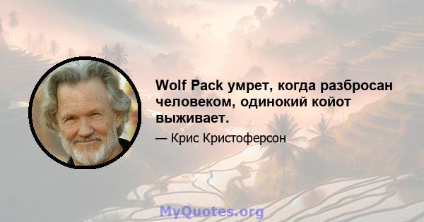 Wolf Pack умрет, когда разбросан человеком, одинокий койот выживает.