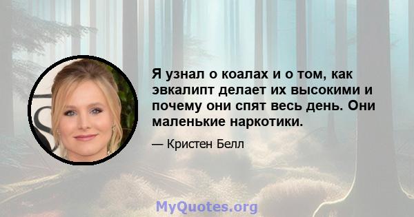 Я узнал о коалах и о том, как эвкалипт делает их высокими и почему они спят весь день. Они маленькие наркотики.