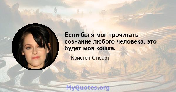 Если бы я мог прочитать сознание любого человека, это будет моя кошка.